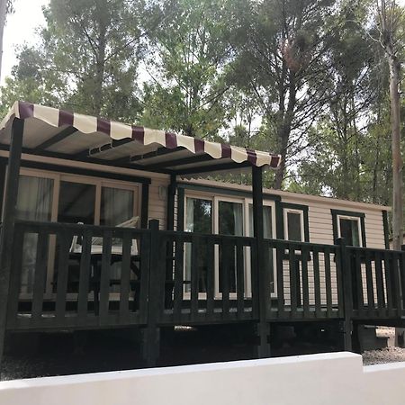 Villaggio Camping Golfo Di Arzachena กันนิโจเน ภายนอก รูปภาพ