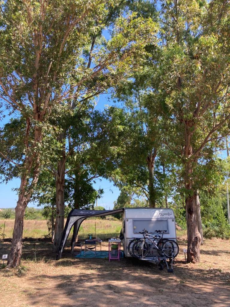 Villaggio Camping Golfo Di Arzachena กันนิโจเน ภายนอก รูปภาพ